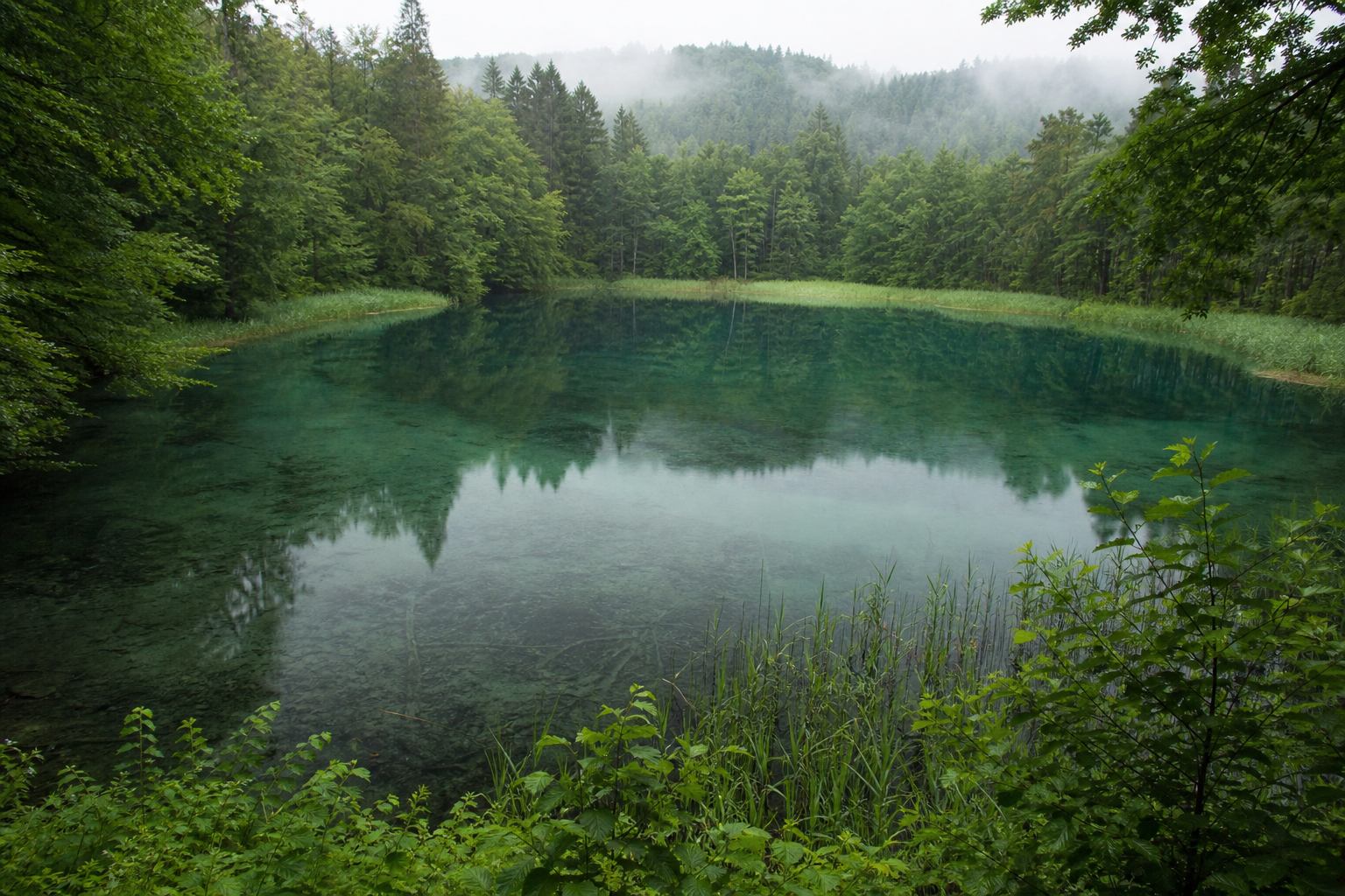 Waldumgebene Gletscherseen der Feldberger Seenlandschaft